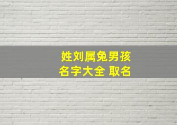 姓刘属兔男孩名字大全 取名